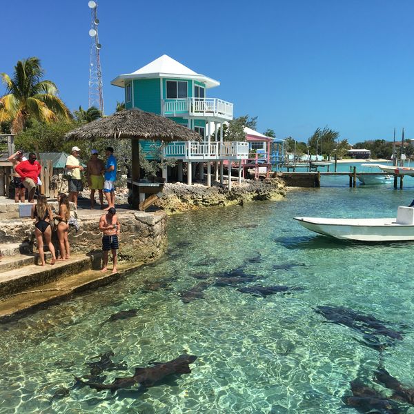 Great Exuma - Cruise Bahamas - Cruisevakantie - Doets Reizen