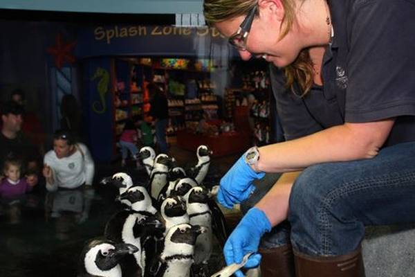 Monterey Bay Aquarium - California - Amerika - Doets Reizen