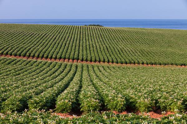 Prince Edward Island - Canada - Doets Reizen
