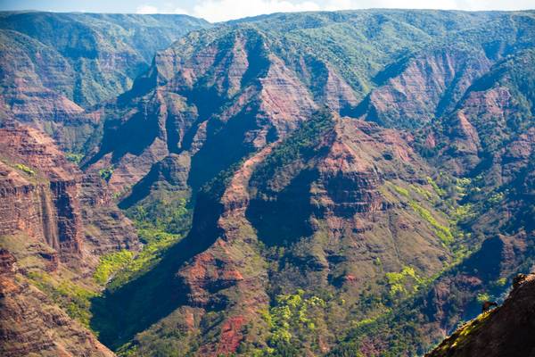 Waimea Canyon - Kauai - Hawaii - Doets Reizen