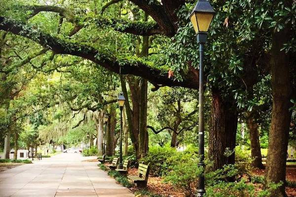 Savannah - Georgia - Amerika - Doets Reizen