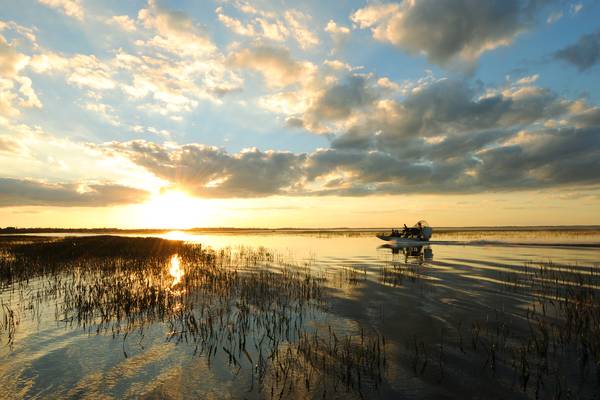 Airboat tours Kissimmee - Florida - Doets Reizen