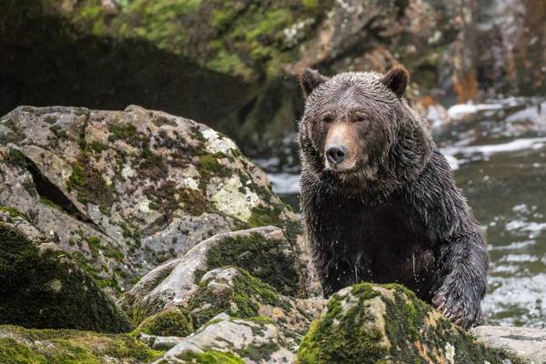 Seawolf Adventures - British Columbia - Canada - Doets Reizen