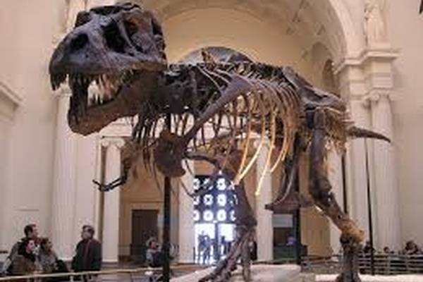 Chicago - Illinois - Doets Reizen