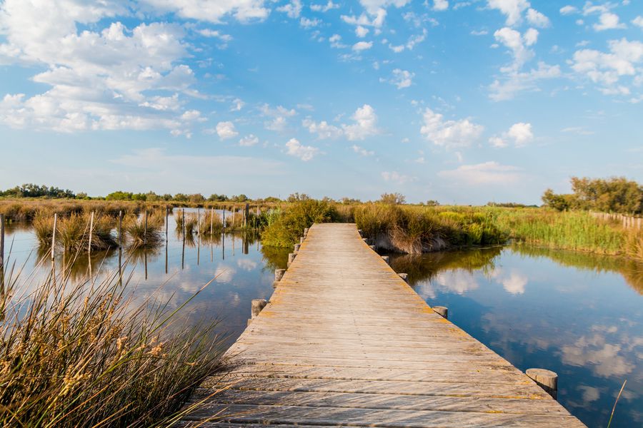 Camargues Doets Reizen Frankrijk afbeelding van TeeFarm via Pixabay