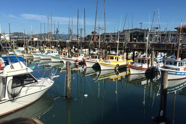 San Francisco - California - Amerika - Doets Reizen