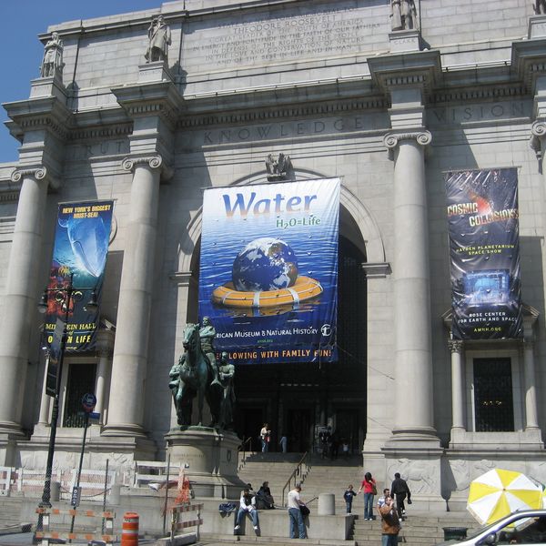 American Museum of National History - New York - Doets Reizen