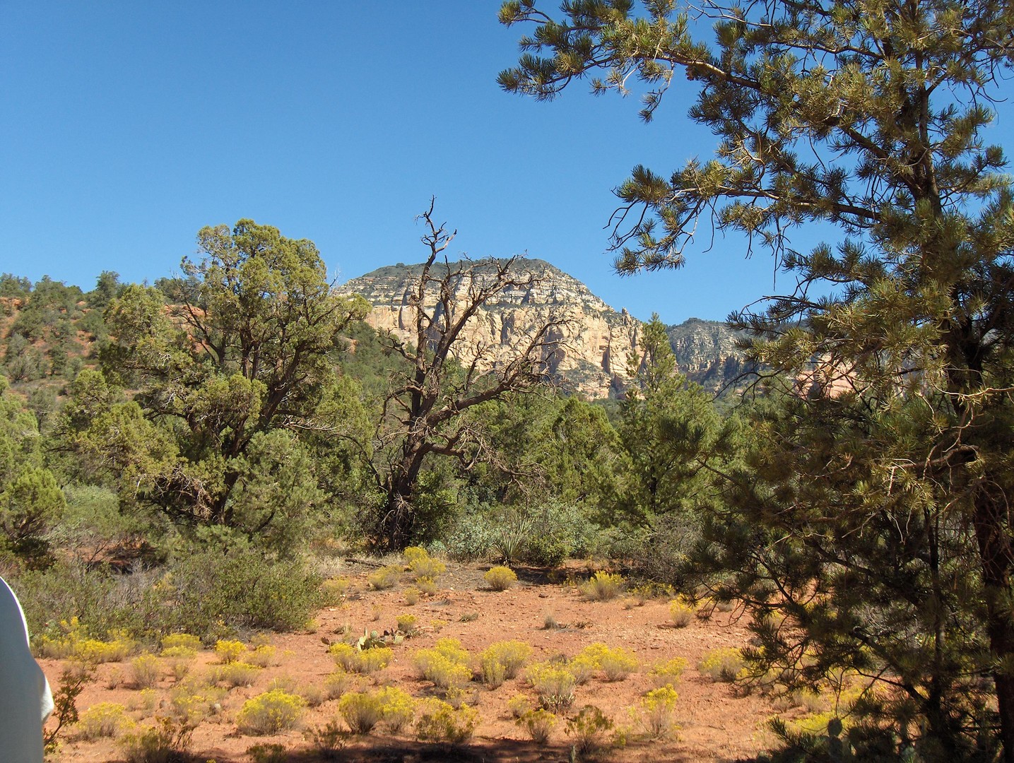 Scenic Route 89A - Arizona - Doets Reizen