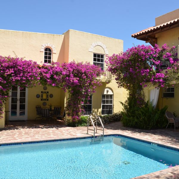 Grandview Gardens B&B - zwembad