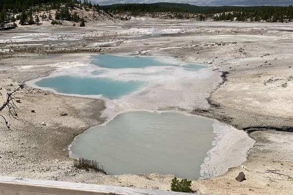 Yellowstone National Park - Wyoming - Doets Reizen