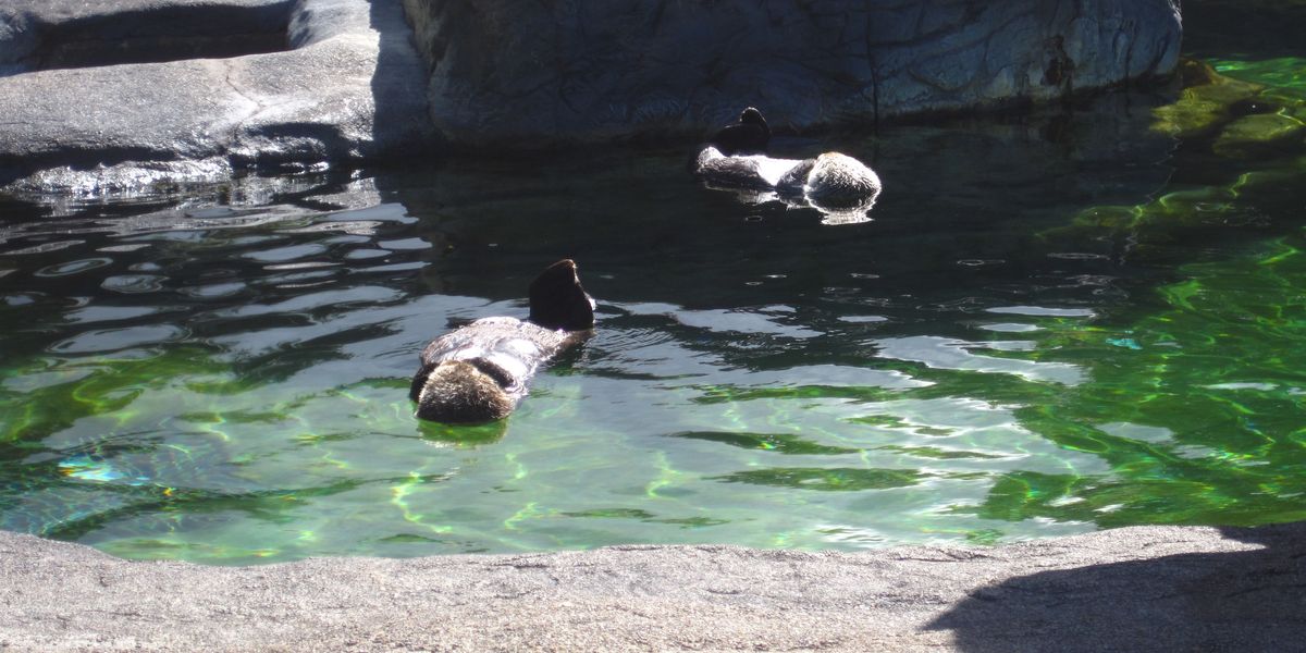 Newport - Oregon - Doets Reizen