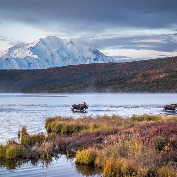 Denali Backcountry Lodge - Denali National Park - Alaska - Doets Reizen