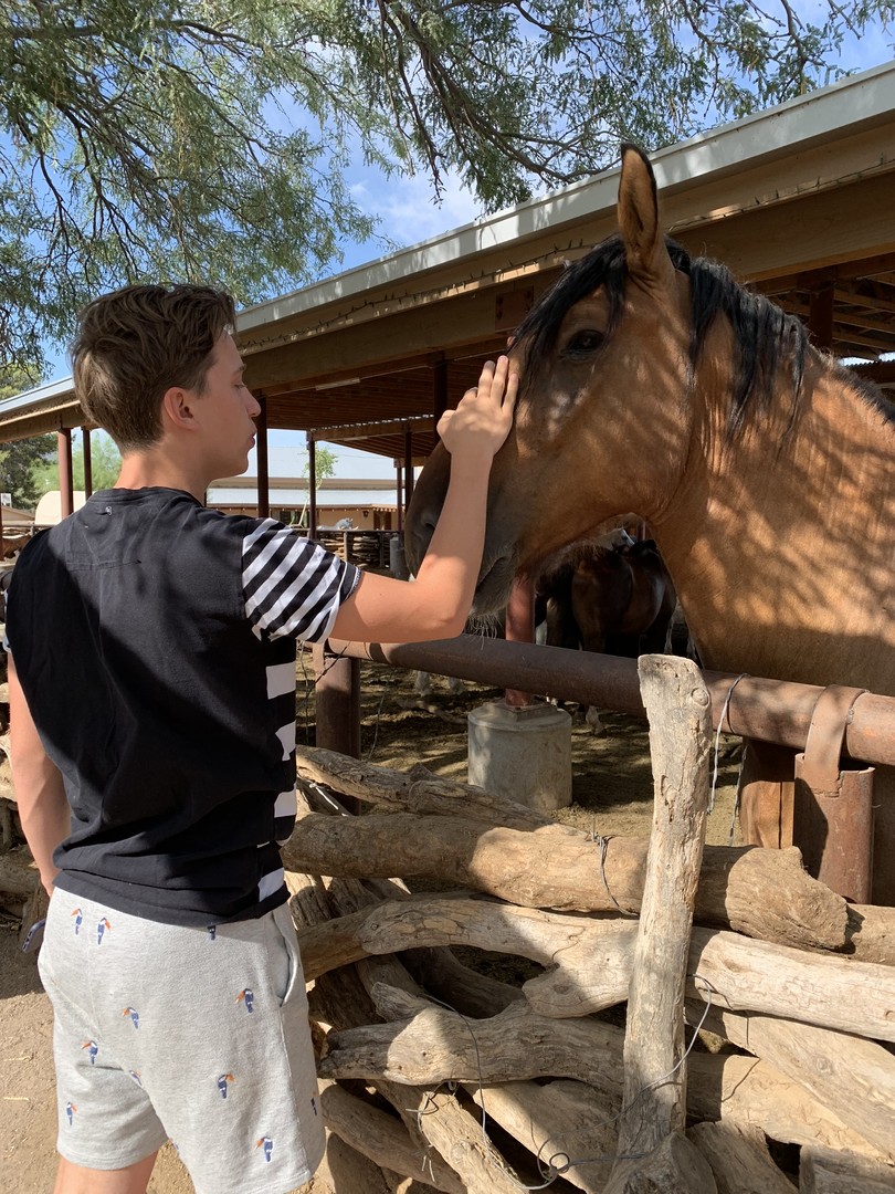 Tanque Verde Ranch - Tucson - Arizona - Doets Reizen