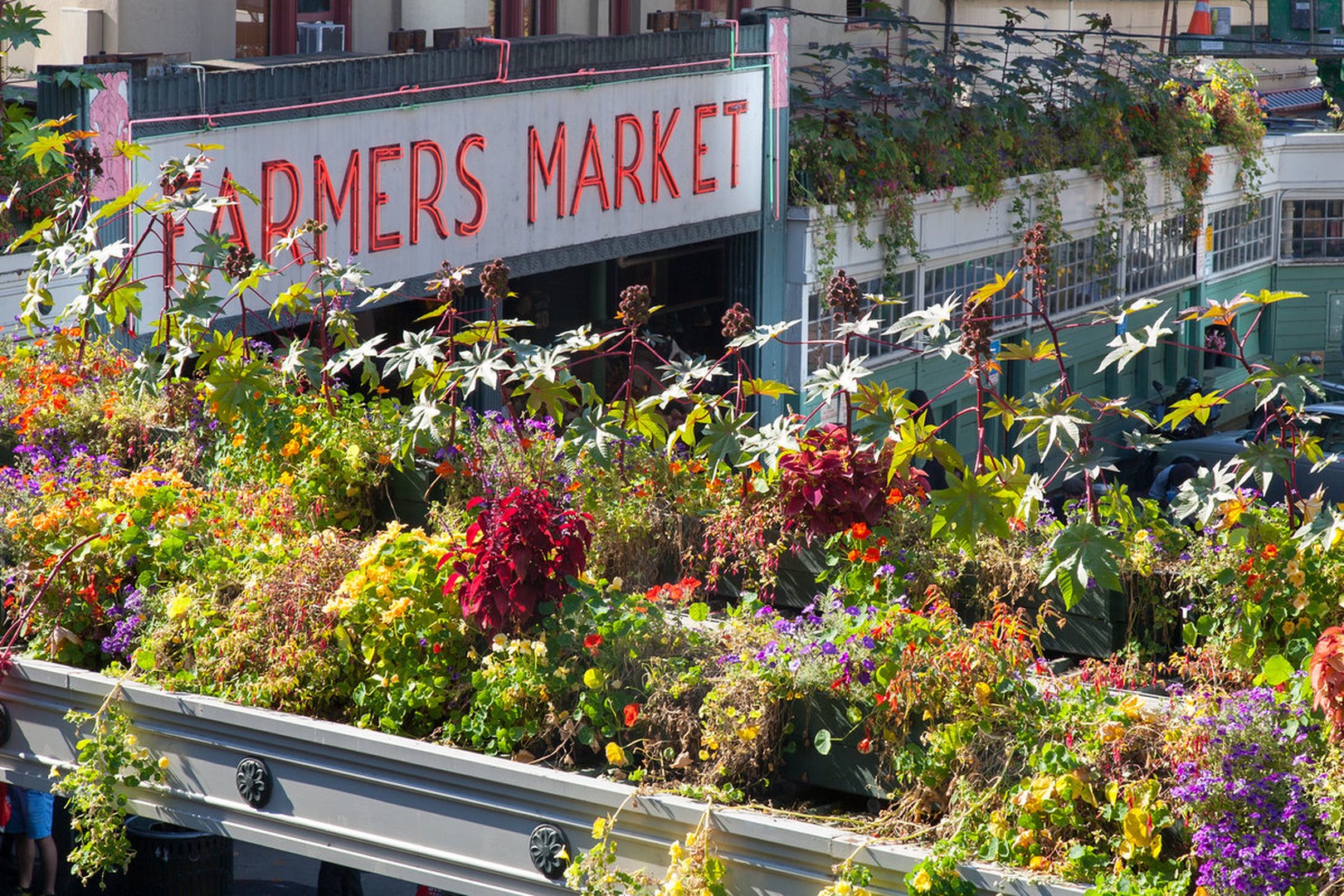 Seattle - Washington State - Doets Reizen