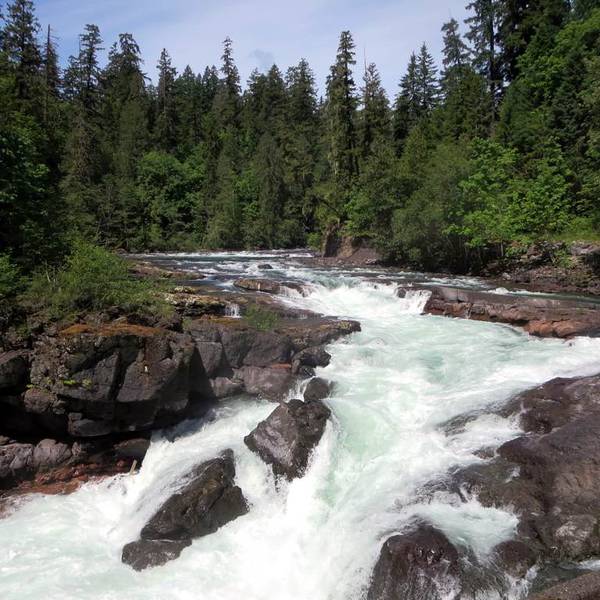 Bezoek Stamp River Provincial Park Doets Reizen