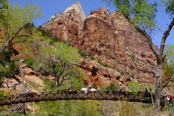 Zion National Park - Utah - Doets Reizen
