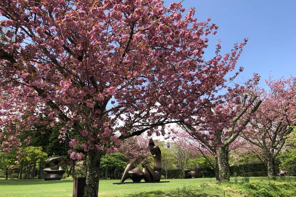 Hakone - Japan - Doets Reizen