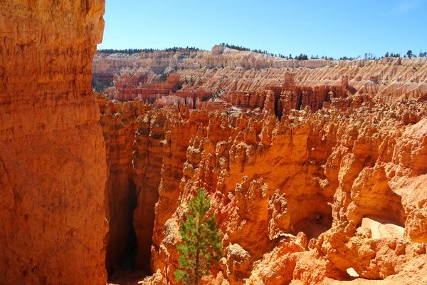 ​Bryce Canyon National Park - Utah - Doets Reizen