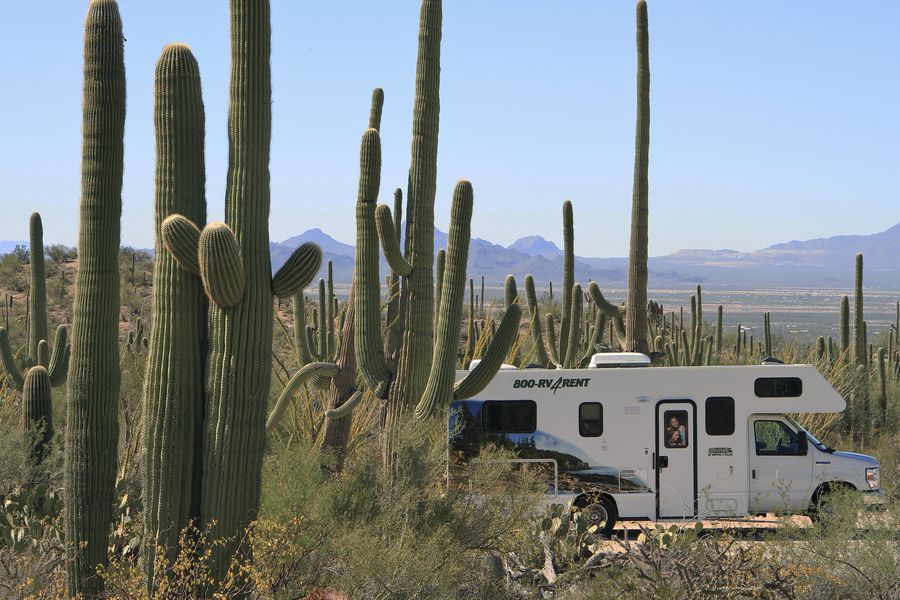 Saguaro National Park - Arizona - Doets Reizen