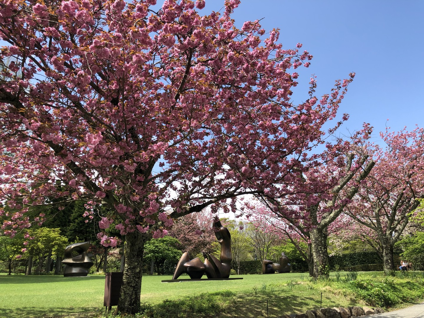 Kyoto - Japan - Doets Reizen