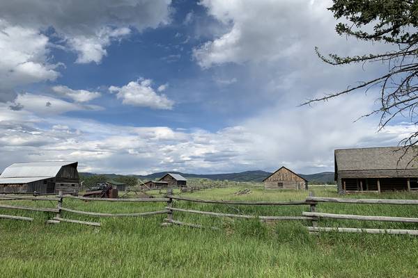 Wildlife Safari - Grand Teton National Park - Wyoming - Doets Reizen