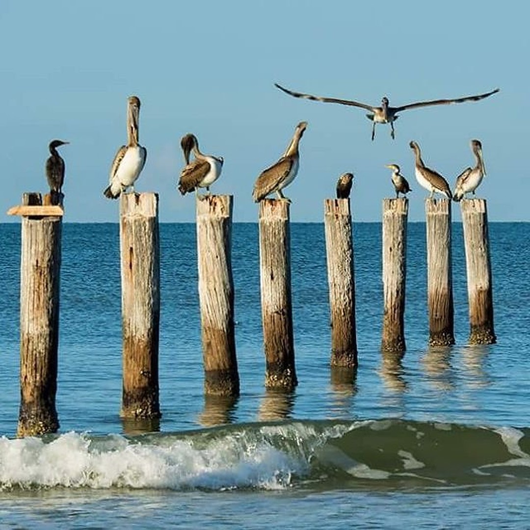 Sanibel Island - Captiva Island - Florida - Doets Reizen