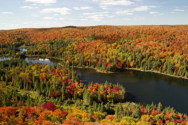 Algonquin Provincial Park - Ontario - Canada - Doets Reizen
