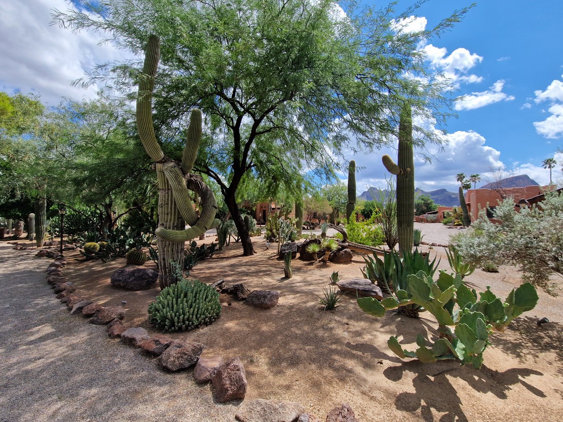 Doets Reizen - White Stallion Ranch - Tucson - camperreis Amerika (18)