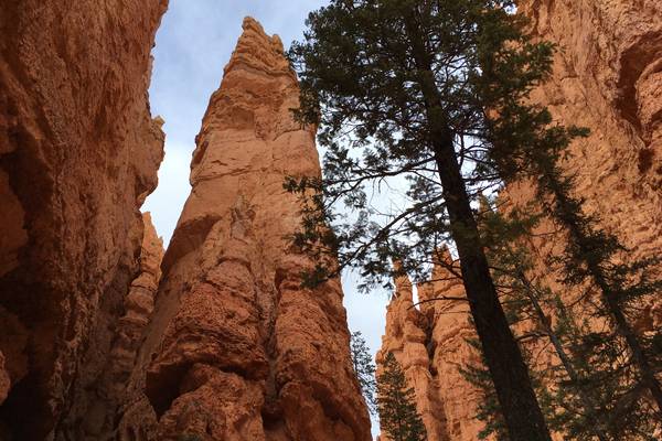 ​Bryce Canyon National Park - Utah - Doets Reizen