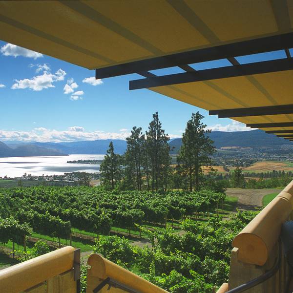 Wine Tasting Tour The Sampler of West Kelowna Doets Reizen