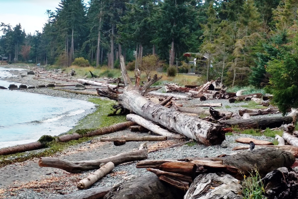 Miracle Beach Provincial Park - Campbell River - Vancouver Island - British Columbia - Canada - Doets Reizen