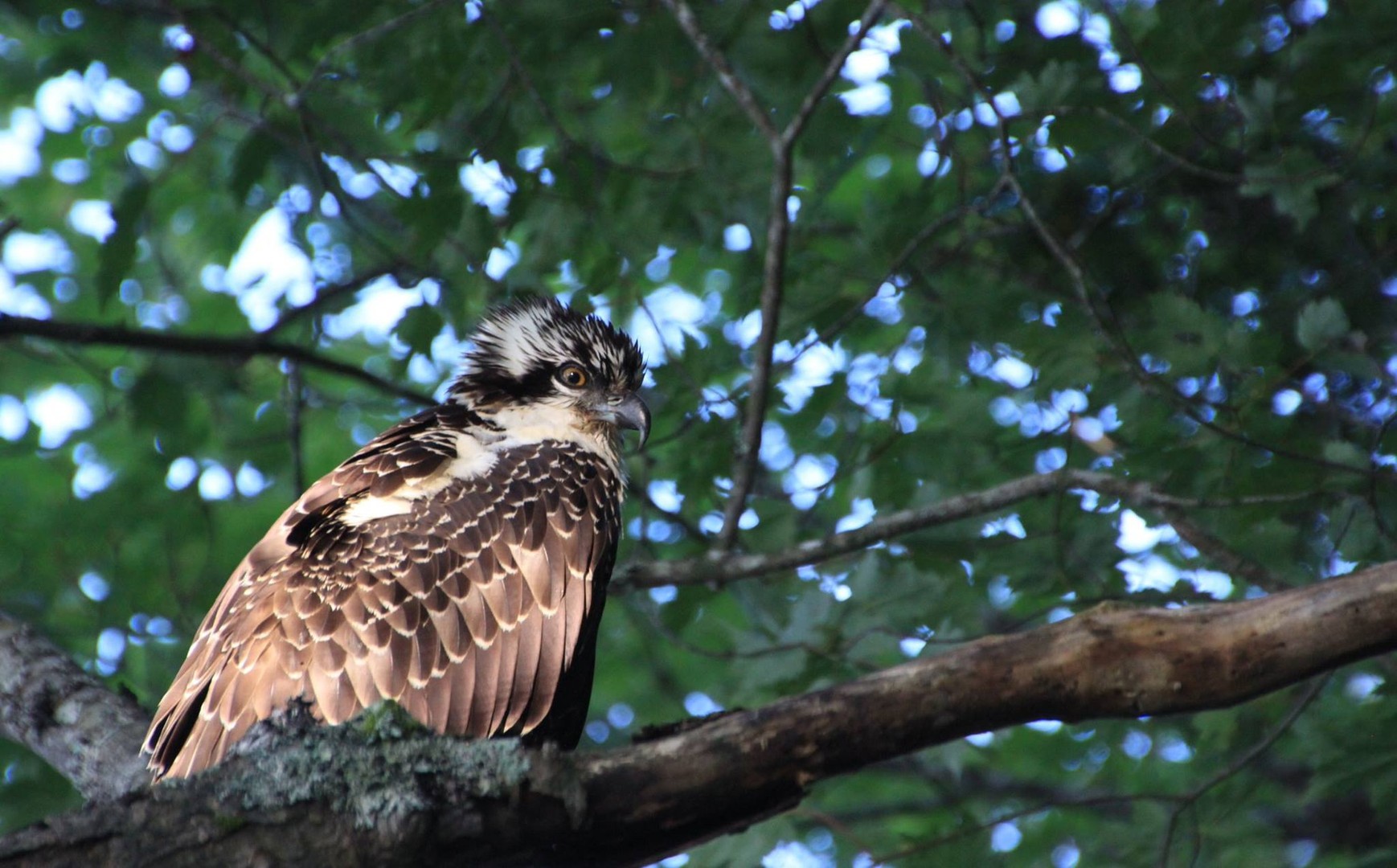 Kejimkujik National Park - Nova Scotia - Canada - Doets Reizen