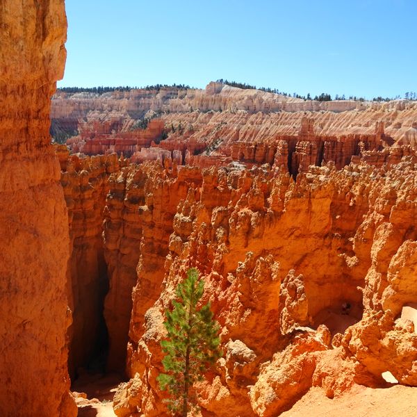 ​Bryce Canyon National Park - Utah - Doets Reizen