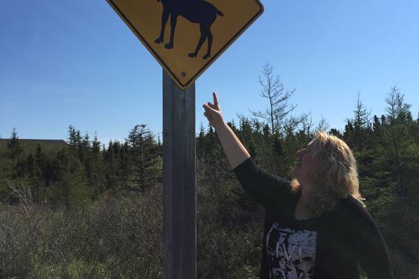 Fogo Island - Newfoundland & Labrador - Canada - Doets Reizen