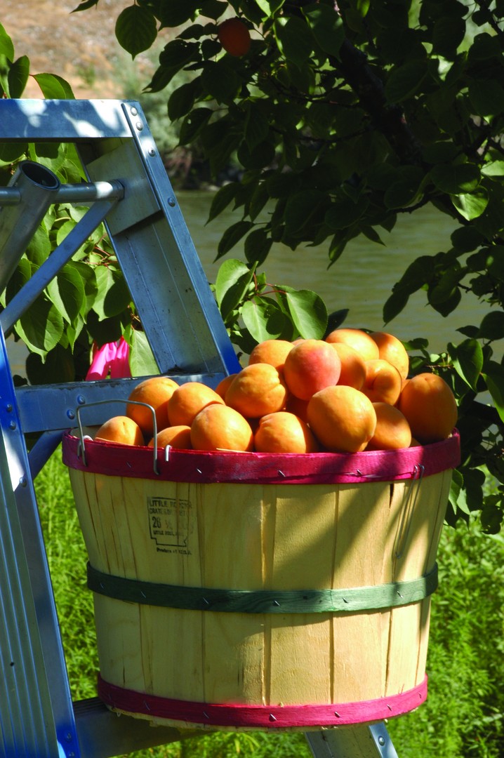 Grand Junction - Colorado - Doets Reizen