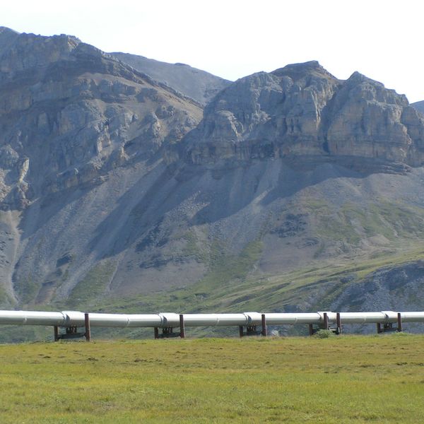 Alaskan Pineline - Fairbanks - Alaska - Doets Reizen