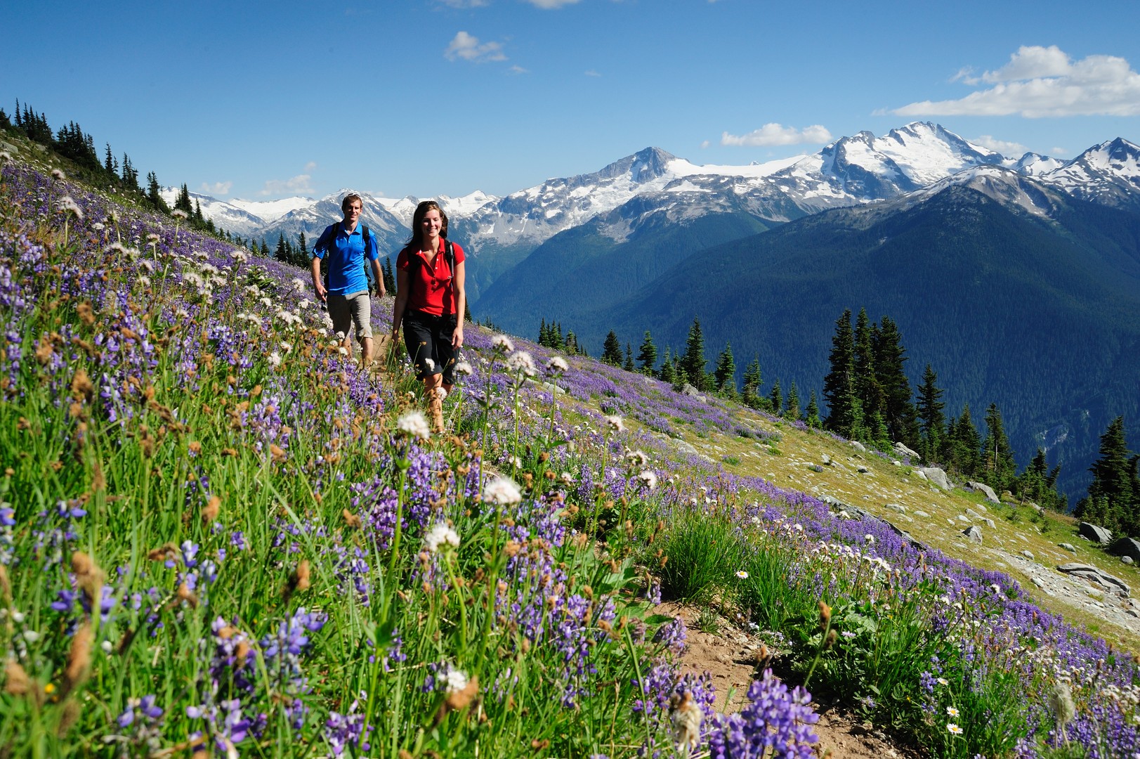 High Note Trail - Whistler - British Columbia - Canada - Doets Reizen