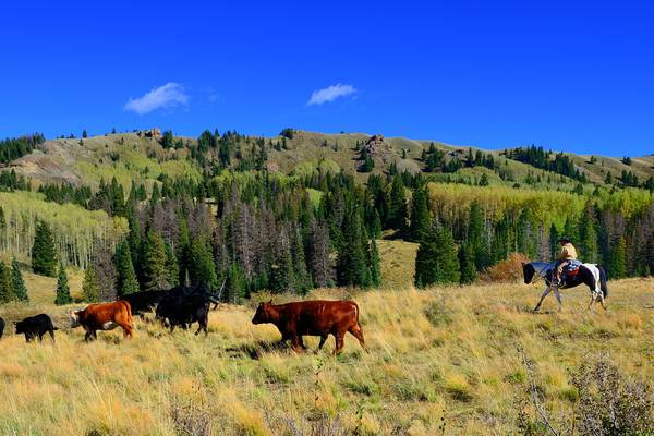 Colorado - Cruise America - camperreizen Amerika Doets Reizen