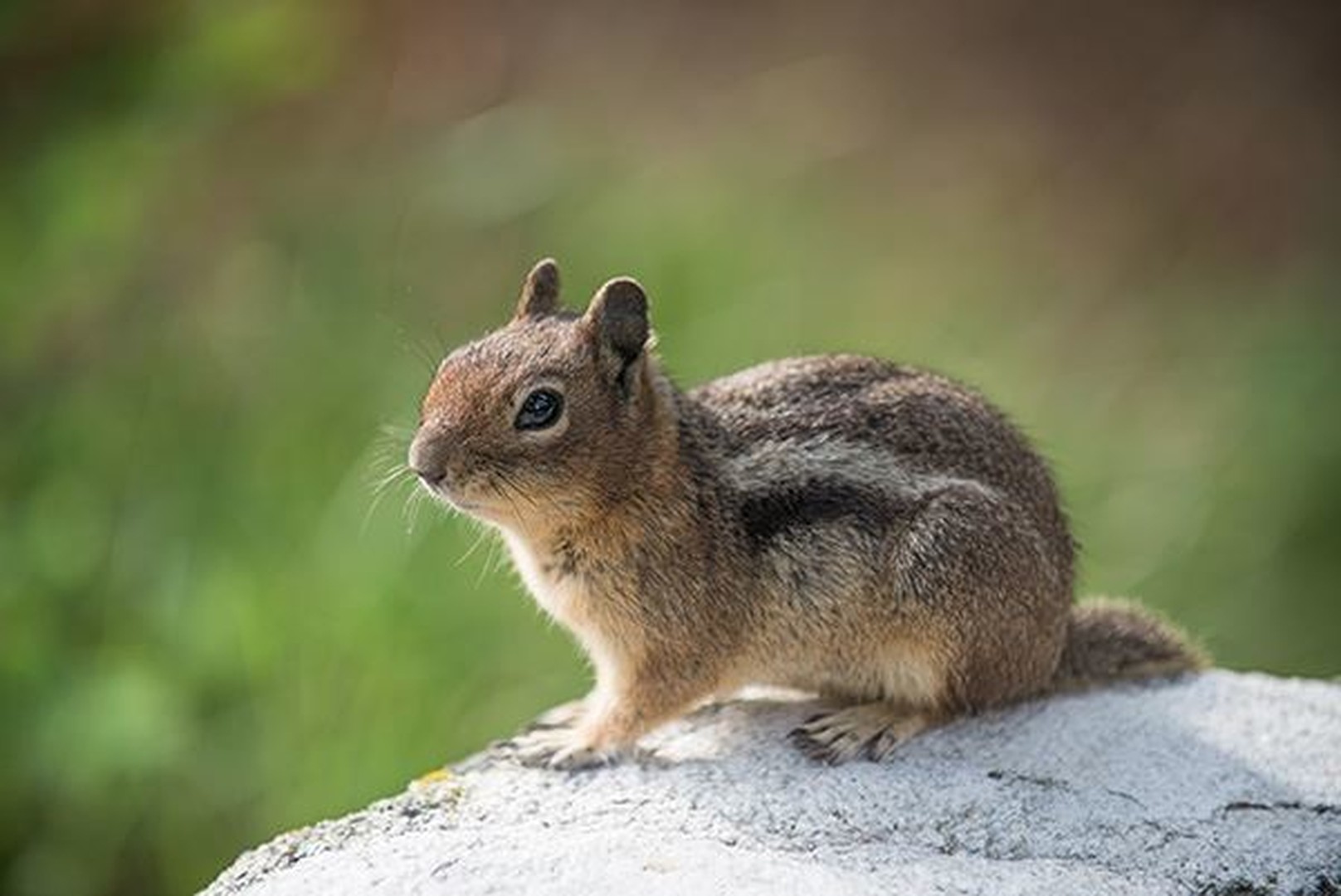 Lake Wenatchee State - Washington State - Doets Reizen