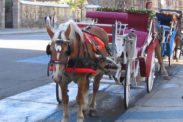 Montreal - Quebec - Canada - Doets Reizen