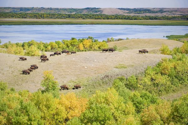 Buffalo Pound National Park - Saskatchewan - Canada - Doets Reizen