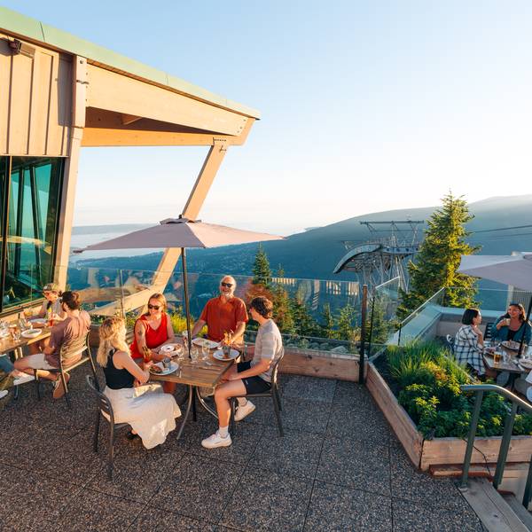 Grouse Mountain Gondola - Doets Reizen