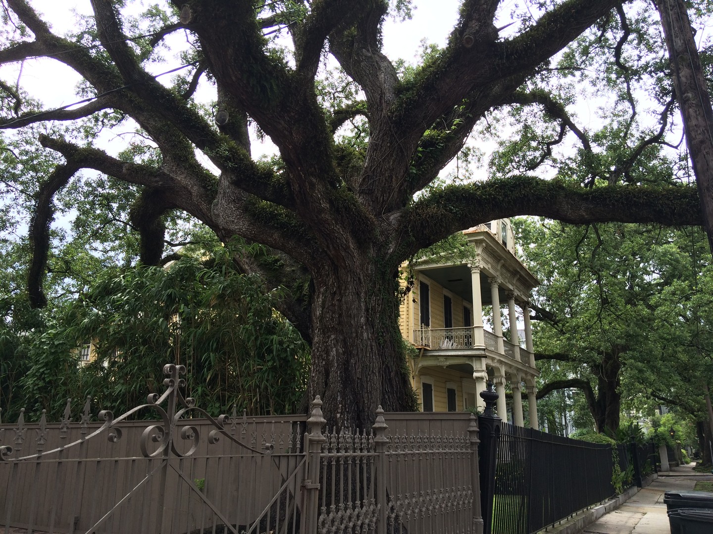 Magazine Street - New Orleans - Lousiana - Amerika - Doets Reizen