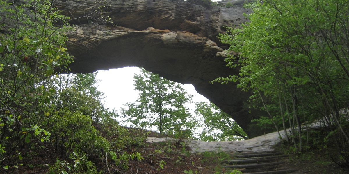 Daniel Boone National Forest - Kentucky - Amerika - Doets Reizen