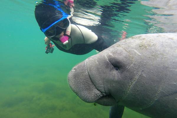 Crystal River - Florida - Doets Reizen