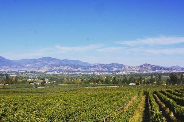 The View Winery - Kelowna - Okanagan Valley - British Columbia - Canada - Doets Reizen