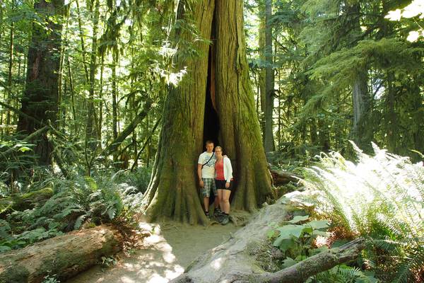 Pacific Rim National Park - Vancouver Island - British Columbia - Canada - Doets Reizen