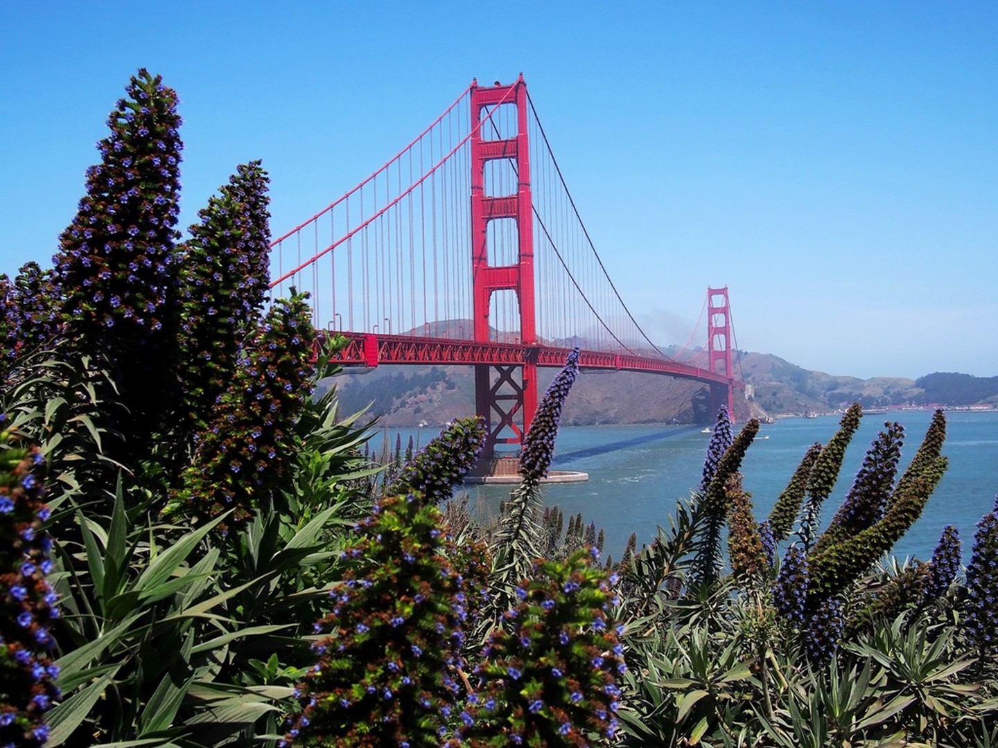 San Francisco - California - Amerika - Doets Reizen
