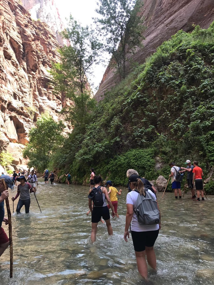 The Narrows - Zion National Park - Utah - Doets Reizen
