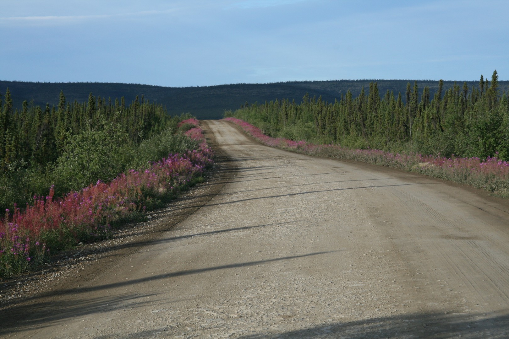 Dempster Highway - Yukon - Canada - Doets Reizen